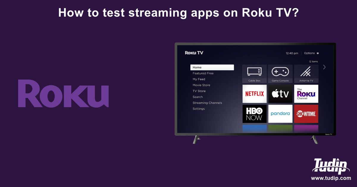 Blog: How to test streaming apps on Roku TV? | Tudip