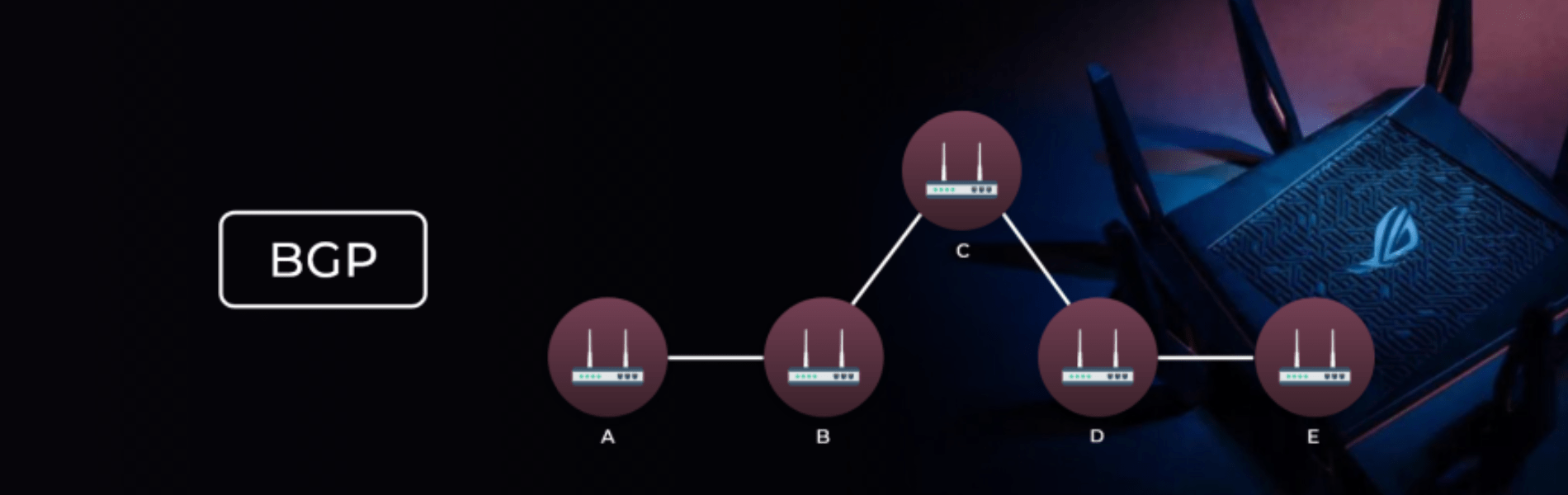 BGP_website