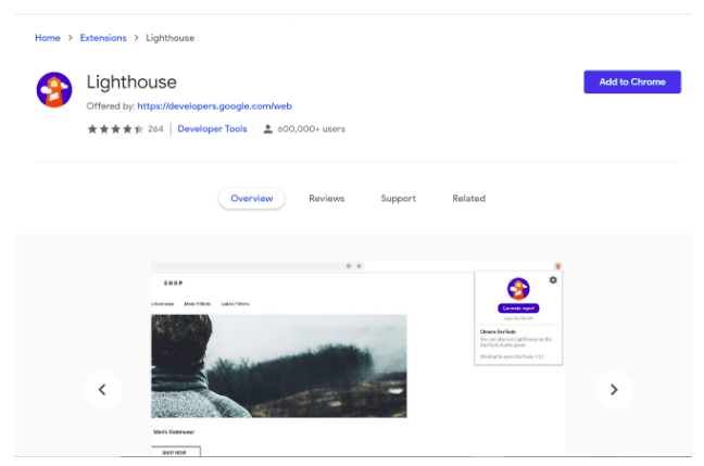 Auditing Web Application Using Google Lighthouse