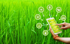 AI-Enabled Precision Agriculture: Revolutionizing Farming Practices for Sustainable Food Production