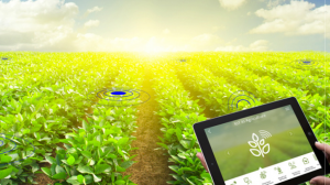 AI-Enabled Precision Agriculture: Revolutionizing Farming Practices for Sustainable Food Production