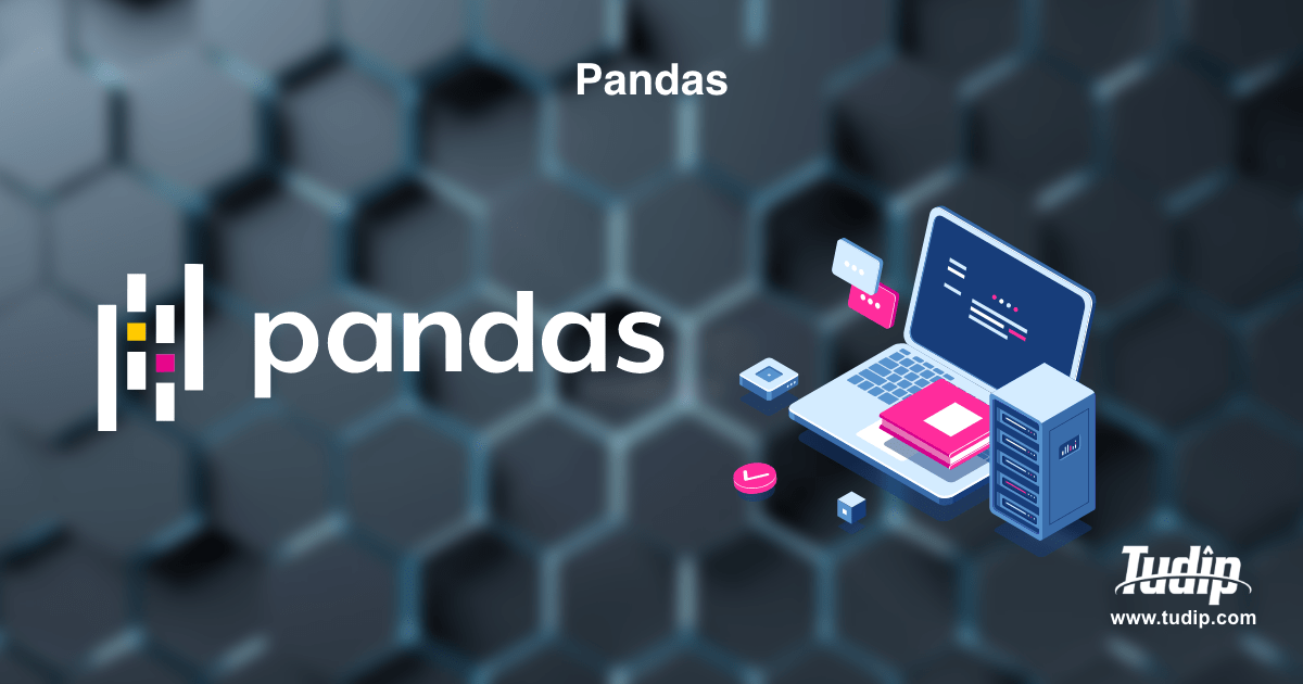 Blog: Pandas | Tudip