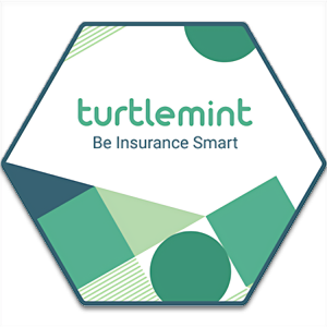 Turtlemint Image